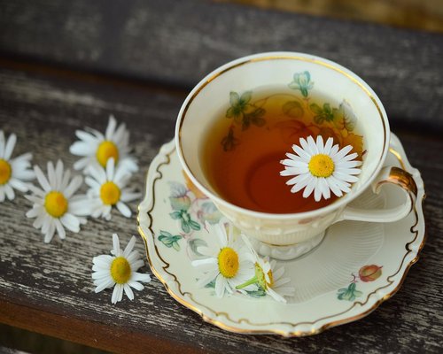 Healthy herbal tea cup on a wooden table
